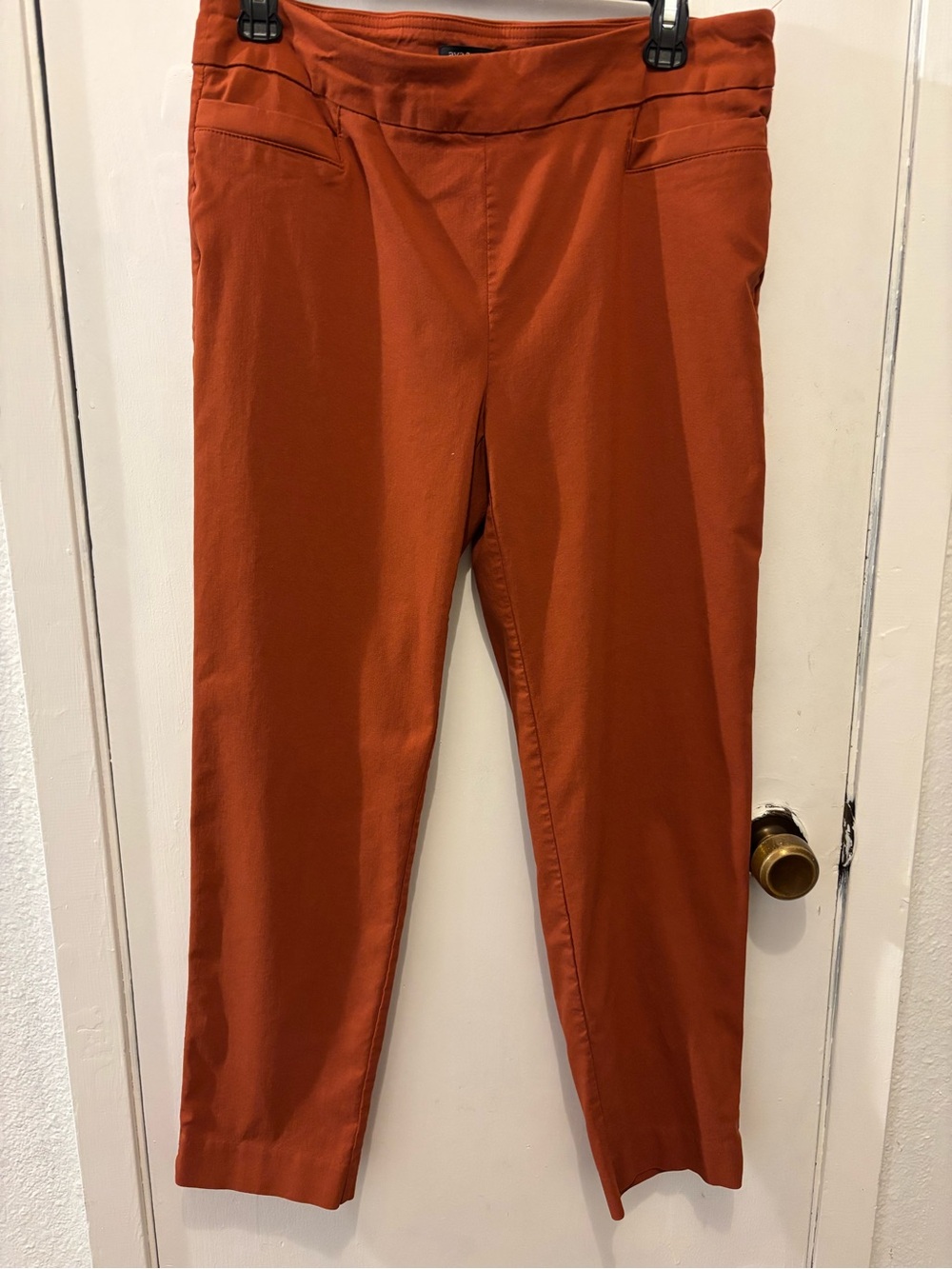 Ava & Grace Women's Rust Orange Slim Chinos